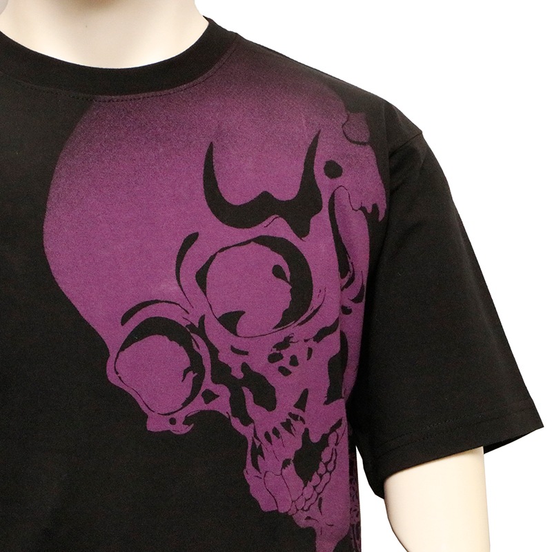 Ը     ɽ  Ⱦµԥ  B242095 