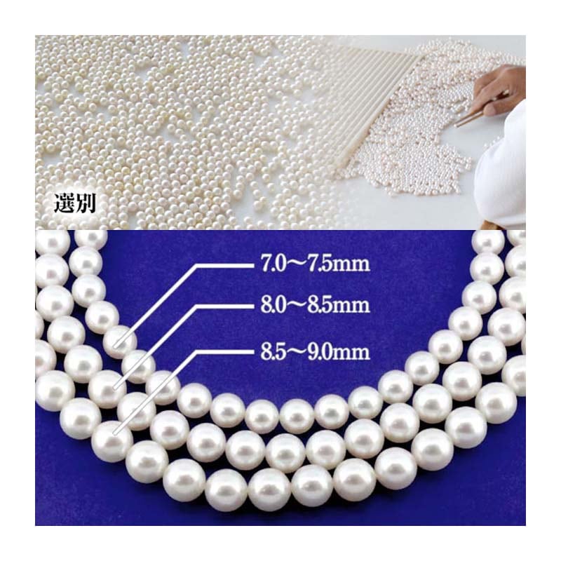 花珠あこや 本真珠 連ネックレス 42cm 桐箱付 JGL花珠鑑別書付（7.0