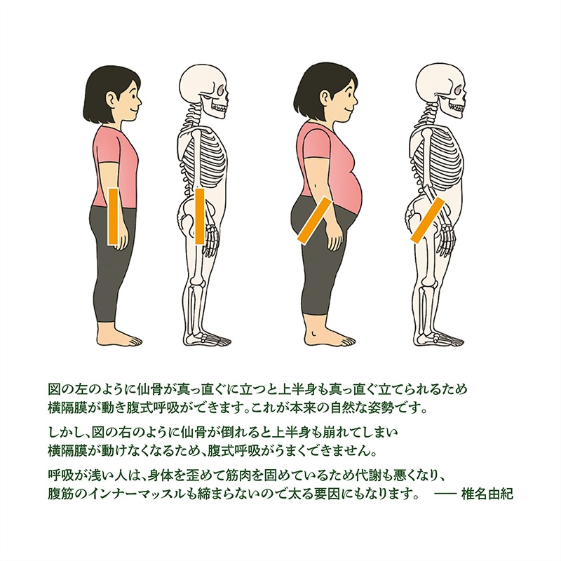 �����Ť��ꥵ�ݡ��ȥ٥�ȡ����������