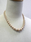 ������ǡ������ͥå��쥹��������ѡ�����������