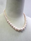 ������ǡ������ͥå��쥹��������ѡ�����ԥ�