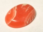 ���ܥ���� �͹����󥫥����� ��20��15mm��1�ġ�  ���������꡼�ѡ��� �롼�� ���� �ѥ���ȡ���