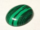 ���ܥ���� �͹��ޥ饫���� ��20��15mm��1�ġ�  ���������꡼�ѡ��� �롼�� ���� �ѥ���ȡ���