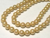 ѡ ѥ󥴡 饦 6mm Ϣ   ӡ ŷ ѡ  ꡼ѡ