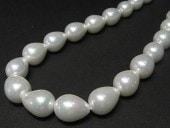 ѡ ɥå׷ ۥ磻 12X15mm Ϣ   ӡ ŷ ѡ  ꡼ѡ