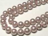 ѡ ѡץ 饦 8mm Ϣ   ӡ ŷ ѡ  ꡼ѡ