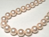 ѡ ԥ 饦 12mm Ϣ   ӡ ŷ ѡ  ꡼ѡ