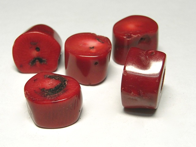 サンゴ（珊瑚） 連販売 真紅 枝輪切り 約18×11mm（染色