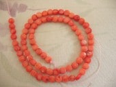 󥴡ʻ Ϣ ݷ 5mm  ꡼ѡ ѥȡ ӡ     