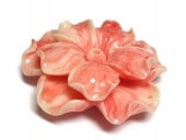 ʲù եեѡ ԥ 5014mm 12ķ  ꡼ѡ