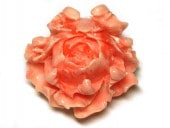 ����ʲù��� �鯷��ѡ��� �ԥ� ��33��22mm ��1������� �ӡ��� ���� ���� ������� ������ ���� �ϥ�ɥᥤ�ɥ��������꡼�ѡ���