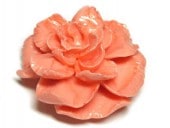 ����ʲù��� �鯷��ѡ��� �ԥ� ��48��23mm ��1������� �ӡ��� ���� ���� ������� ������ ���� �ϥ�ɥᥤ�ɥ��������꡼�ѡ���