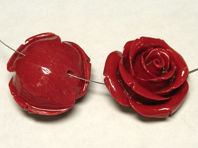  鯷ӡ å 2516mm 4      ϥɥᥤɥ꡼ѡ