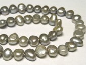 øѡ Хå å 810mm Ϣ (ø忿) ӡ ѥȡ  ꡼ѡ