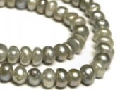 øѡ ܥ å 64mm Ϣ ӡ ѥȡ  ꡼ѡ