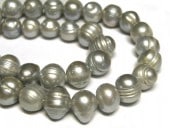 øѡ ݥƥ å 1011mm Ϣ ӡ ѥȡ  ꡼ѡ