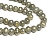 øѡ ݥƥ å 56mm Ϣ ӡ ѥȡ  ꡼ѡ