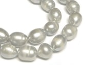 øѡ 饤 å 1011mm Ϣ ӡ ѥȡ  ꡼ѡ