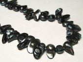 øѡ 췿 ֥å Ϣ (ø忿) ӡ ѥȡ  ꡼ѡ