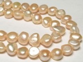 øѡ Хå ԥ 810mm Ϣ (ø忿) ӡ ѥȡ  ꡼ѡ