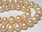 øѡ ݥƥ ԥ 10-11mm Ϣ (ø忿) ӡ ѥȡ  ꡼ѡ