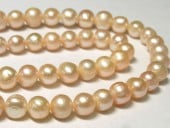 øѡ ݥƥ ԥ 78mm Ϣ (ø忿) ӡ ѥȡ  ꡼ѡ