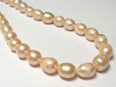 øѡ 饤 ԥ 1011mm Ϣ (ø忿) ӡ ѥȡ  ꡼ѡ