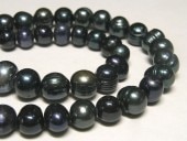 øѡ ݥƥ ֥å 1011mm Ϣ (ø忿) ӡ ѥȡ  ꡼ѡ