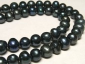 øѡ ݥƥ ֥å 78mm Ϣ (ø忿) ӡ ѥȡ  ꡼ѡ