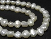 øѡ Хå ۥ磻 810mm Ϣ (ø忿) ӡ ѥȡ  ꡼ѡ