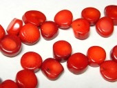 󥴡ʻ  Ϣ 1012  ꡼ѡ ѥȡ ӡ     