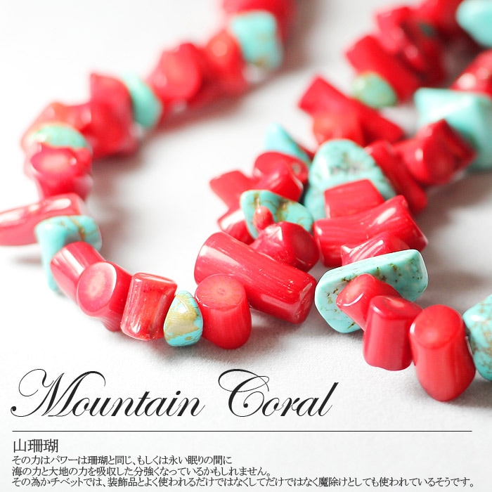 珊瑚 Aqua Forest紫色森林系统详解（精品珊瑚缸展示解说）持续更新