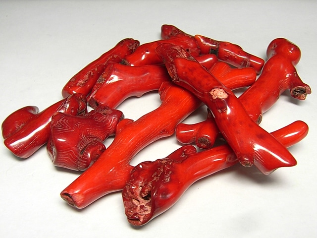 サンゴ（珊瑚） 枝 10本セット販売（染色） アクセサリーパーツ