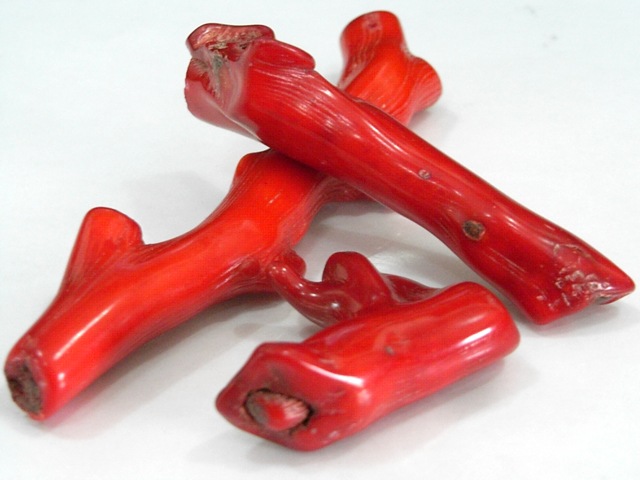 サンゴ（珊瑚） 枝 10本セット販売（染色） アクセサリーパーツ