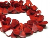    2015mm 40cm Ϣ䡡108γ ӡ      ϥɥᥤɥ꡼ѡ