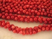 󥴡ʻ Ϣ ԡʥåķ 83mm  ꡼ѡ ѥȡ ӡ     