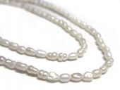 øѡ Ϣ ۥ磻 饤 42.5mm ø忿 ӡ ѥȡ ꡼ѡ