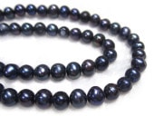 øѡ ݥƥ ֥å 56mm Ϣ ø忿 ӡ ѥȡ ꡼ѡ