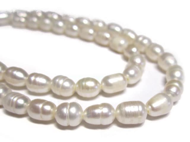 ø��ѡ��� �饤�� �ۥ磻�� ��5��6mm Ϣ���� (ø�忿��) �ӡ��� �ѥ���ȡ���