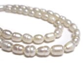 øѡ 饤 ۥ磻 56mm Ϣ (ø忿) ӡ ѥȡ