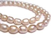 øѡ 饤 ԥ 56mm Ϣ (ø忿) ӡ ѥȡ