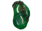 �ǿ� �վ��� ��ʪ