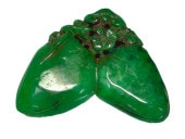 �ǿ� �վ��� ��ʪ