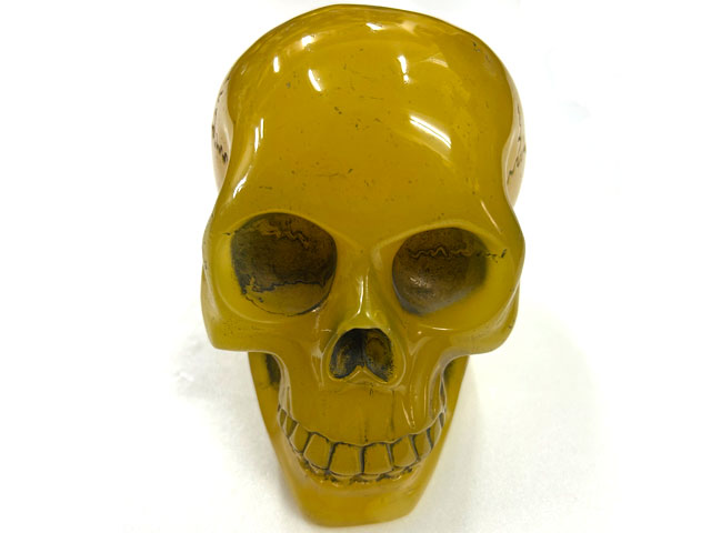 ɥ ̪  ʪ 祵 ƥꥢ Ɀ徺