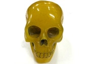 ɥ ̪  ʪ 祵 ƥꥢ Ɀ徺