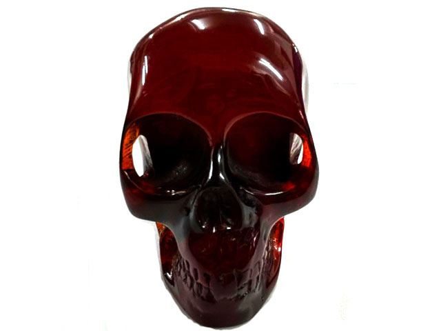 ɥ ̪ ֥饦 ʪ 極 ƥꥢ Ɀ徺