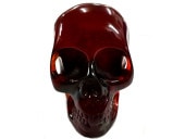 ɥ ̪ ֥饦 ʪ 極 ƥꥢ Ɀ徺