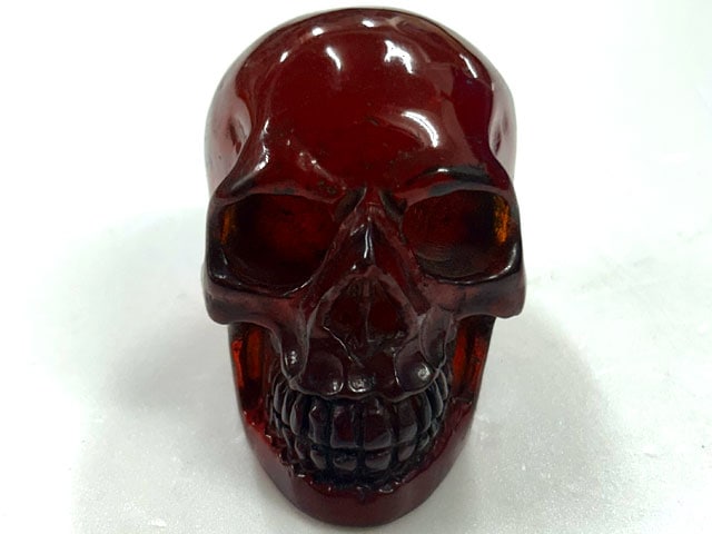 ɥ ̪ ֥饦 ʪ  ƥꥢ Ɀ徺