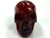 ɥ ̪ ֥饦 ʪ  ƥꥢ Ɀ徺