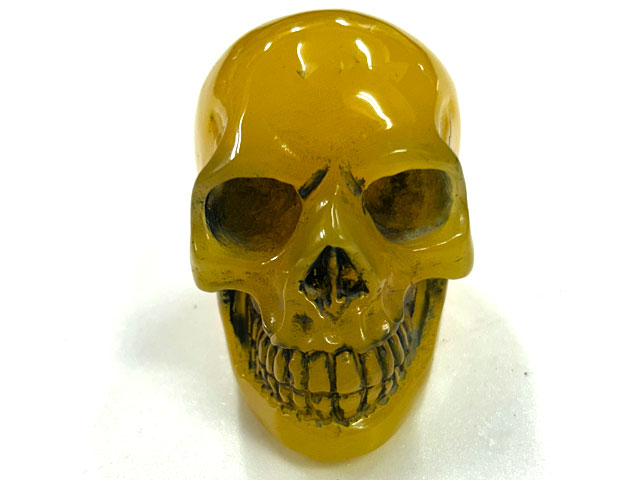 ɥ ̪  ʪ  ƥꥢ Ɀ徺